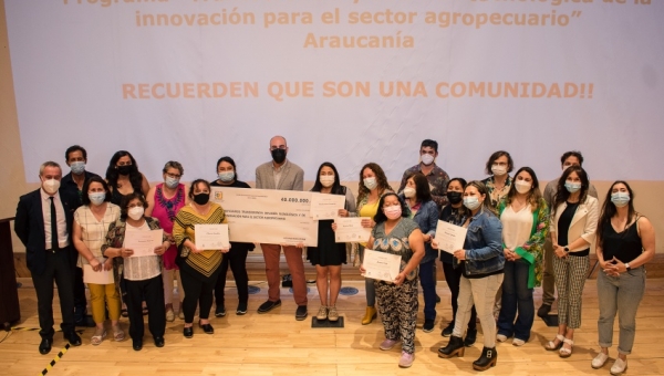 Certifican a 20 microemprendedores agropecuarios de Malleco